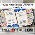 Pilules Miraculeuses De Racine Maléfique kamagra1